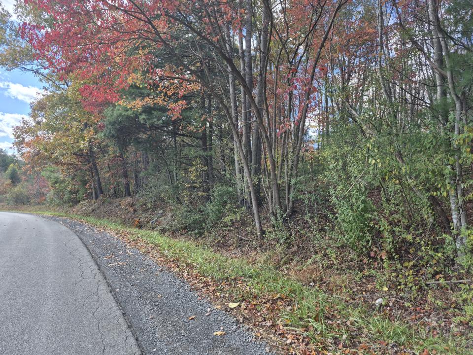 Red Star Cutoff, Oak Hill, West Virginia 25901, Estados Unidos