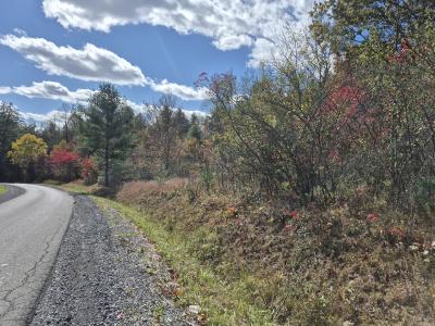 Red Star Cutoff, Oak Hill, West Virginia 25901, Estados Unidos