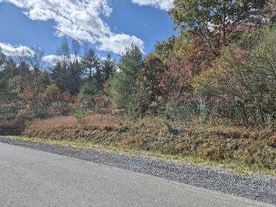 Red Star Cutoff, Oak Hill, West Virginia 25901, Estados Unidos