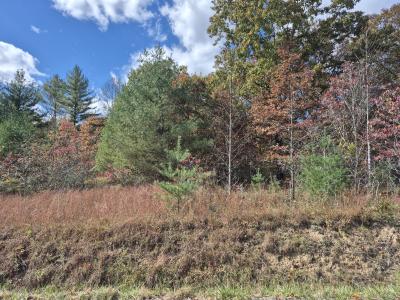 Red Star Cutoff, Oak Hill, West Virginia 25901, Estados Unidos