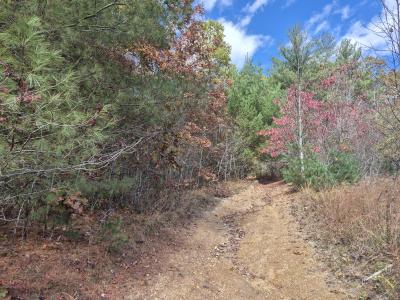 Red Star Cutoff, Oak Hill, West Virginia 25901, Estados Unidos