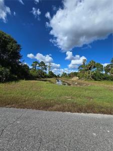 421 Wilder Avenue S, Lehigh Acres, Floride 33974, États-Unis