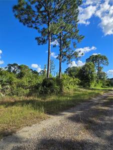 421 Wilder Avenue S, Lehigh Acres, Floride 33974, États-Unis