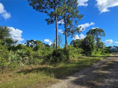 421 Wilder Avenue S, Lehigh Acres, Floride 33974, États-Unis