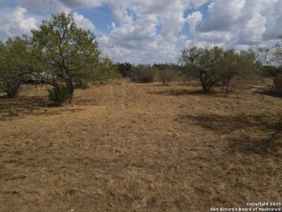 141 Muehl, Seguin, 德克薩斯州 78155, 美國