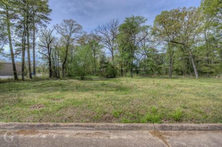 Lots 15 & Millard Street, Shreveport, Louisiane 71108, États-Unis