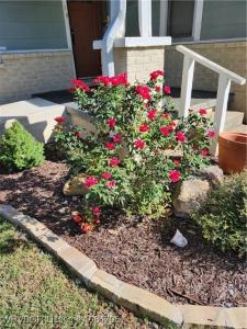 301 Wilson Avenue, Poteau, Oklahoma 74953, Stati Uniti