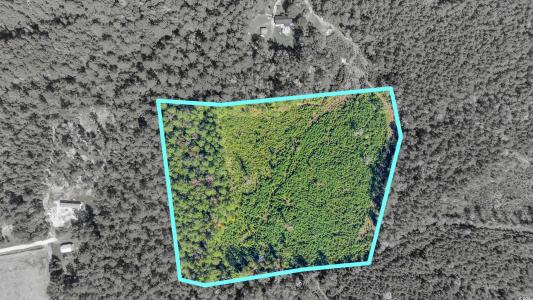 TBD Not Specified, Conway, SC 29526, USA