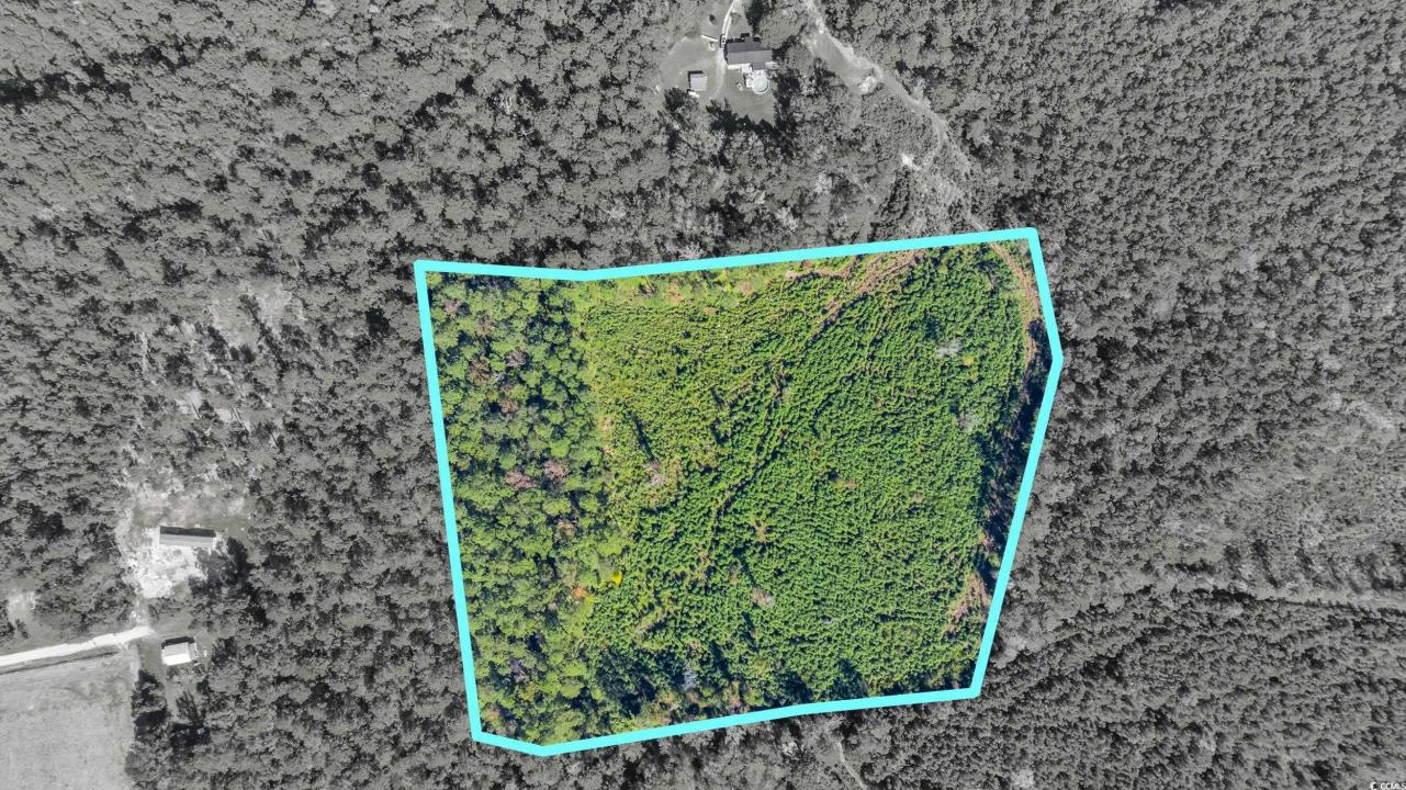 TBD Not Specified, Conway, South Carolina 29526, HOA KỲ