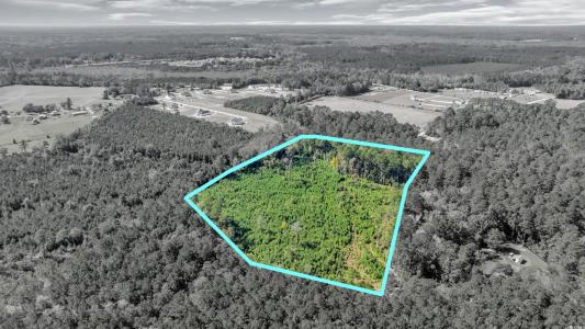 TBD Not Specified, Conway, South Carolina 29526, HOA KỲ