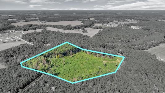 TBD Not Specified, Conway, South Carolina 29526, HOA KỲ