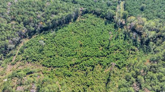 TBD Not Specified, Conway, South Carolina 29526, HOA KỲ