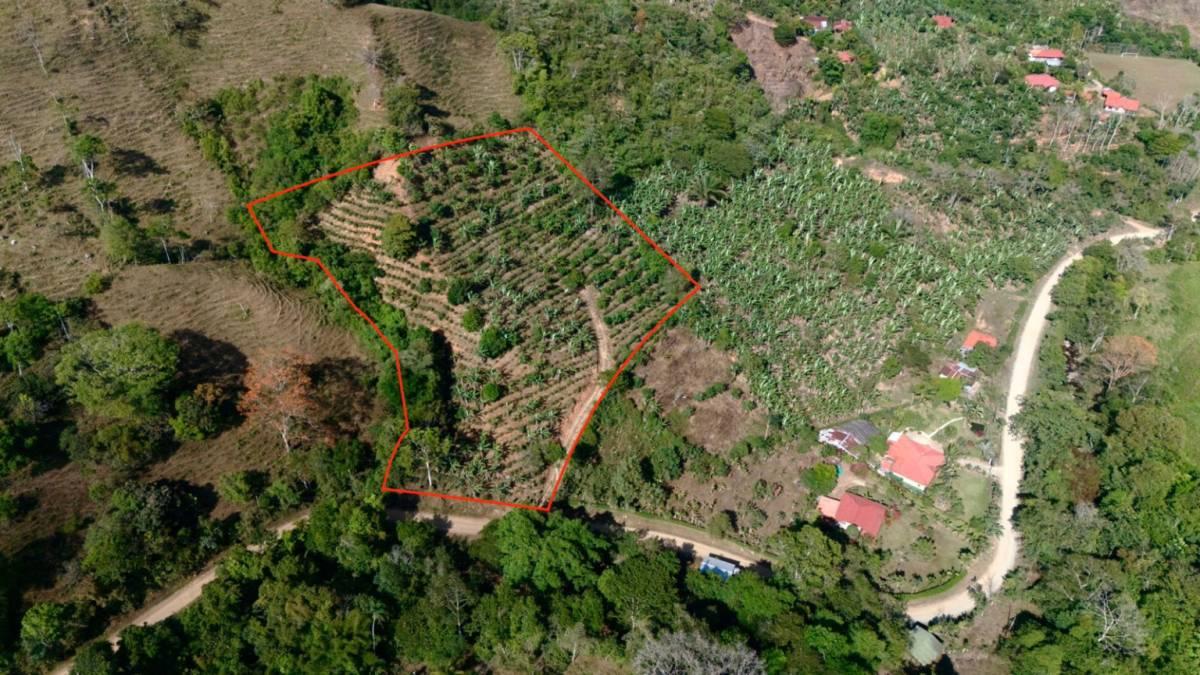 Platanillo Barú Pérez Zeledón, San José 00001, كوستاريكا