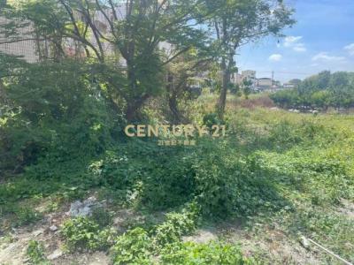 中正路, Tianzhong Township, Changhua County 520, 대만