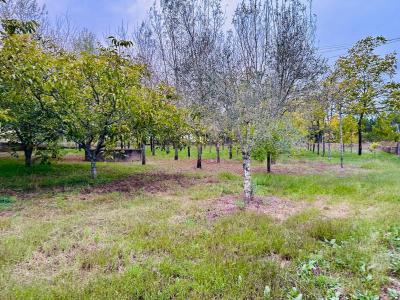 Anadia, Aveiro 3780-599, Portugal