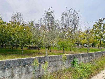 Anadia, Aveiro 3780-599, Portugal