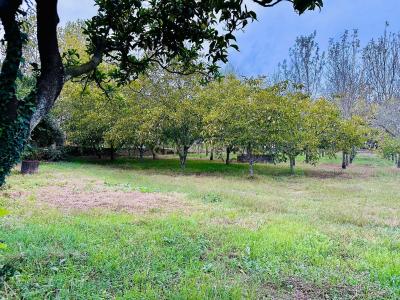 Anadia, Aveiro 3780-599, Portugal