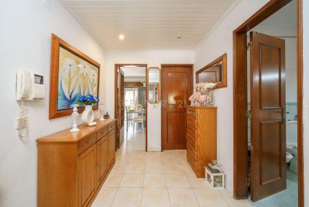 Setubal, Setubal 2910-049, Portugal