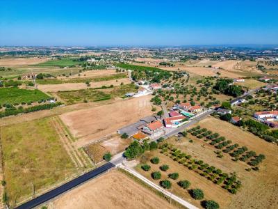 산타렘, 산타렘 2000-684, 포르투갈