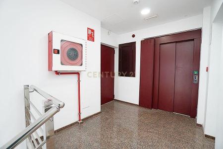 Las Palmas, Canarias 3014, 西班牙