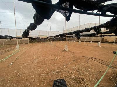 Las Palmas, Canarias 35450, Spain