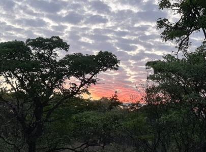 Bela Bela, Limpopo, Nam Mỹ