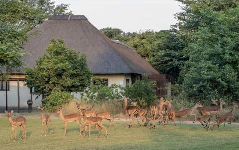 Phalaborwa, Limpopo, Afrique Du Sud