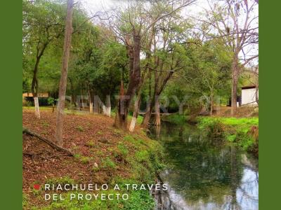 Allende, נואבו לאון 67370, מקסיקו 