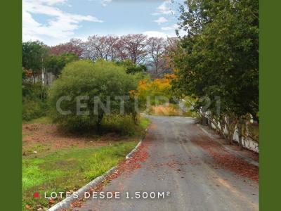 Allende, נואבו לאון 67370, מקסיקו 