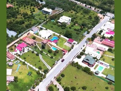 Allende, נואבו לאון 67370, מקסיקו 