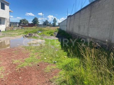 LA TRASQUILA SN,, Apizaco, Tlaxcala 90402, Messico