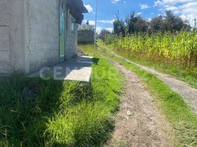 LA TRASQUILA SN,, Apizaco, Tlaxcala 90402, Mexico