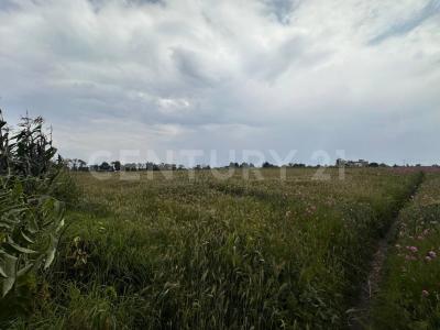 Camino a las Parcelas SN,, Metepec, Meksyk (stan) 52140, Meksyk