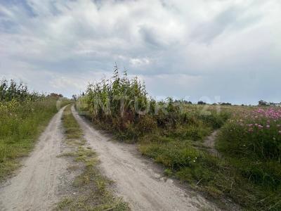 Camino a las Parcelas SN,, Metepec, Meksyk (stan) 52140, Meksyk