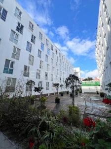 doctor barragan 388,, Cuauhtémoc, Ciudad De México 06720, מקסיקו