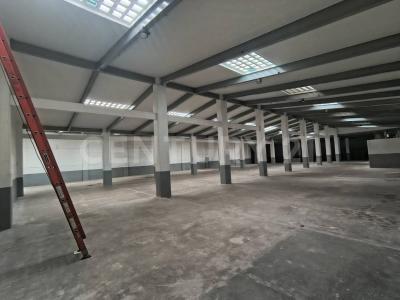 Benito Juárez, Ciudad De México 03300, Mexico