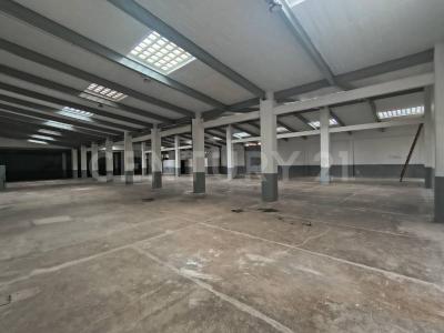 Benito Juárez, Ciudad De México 03300, Mexico