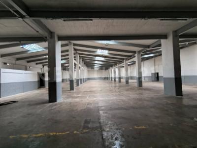 Benito Juárez, Ciudad De México 03300, Mexico