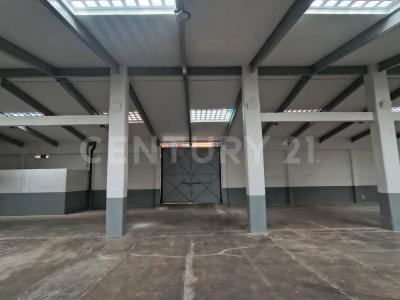 Benito Juárez, Ciudad De México 03300, Mexico