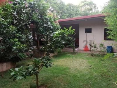 Porongo, en el camino antiguo Km12 S/N, Urubo, Santa Cruz 0000, Bolívia