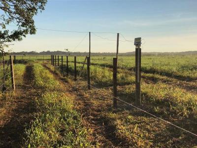 Ballivián, Beni 00001, Bolivia