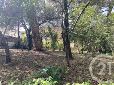 מונפלייה, לנגדוק-רוסיון 34080, צרפת