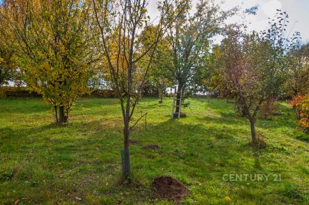 Odry, Nový Jičín 100 00, Czech Republic