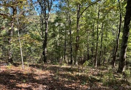 6620 N Starr Ridge Road, Proctor, Oklahoma 74457, Stati Uniti