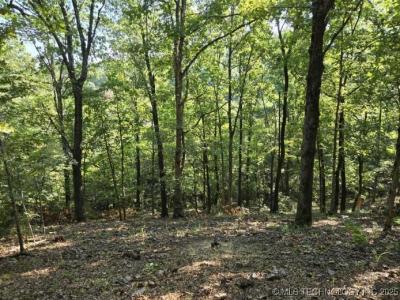 6620 N Starr Ridge Road, Proctor, Oklahoma 74457, Stati Uniti