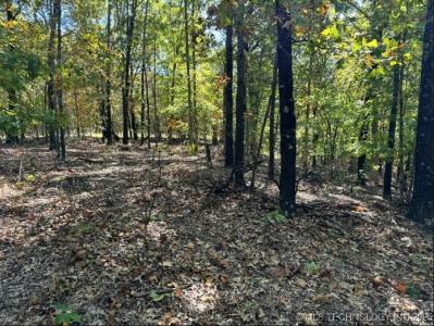 6620 N Starr Ridge Road, Proctor, Oklahoma 74457, Stati Uniti