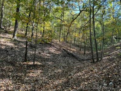 6620 N Starr Ridge Road, Proctor, Oklahoma 74457, Stati Uniti