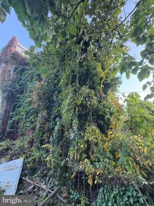 350 N 61ST STREET, PHILADELPHIA, פנסילבניה 19139, ארצות הברית של אמריקה