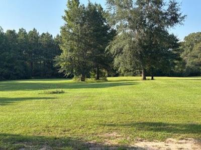 674 Stanley Hebert Rd., Merryville, Louisiana 70612