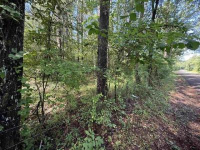 TBD CR 4194 Tract 1-3, Henderson, Texas 75654, USA